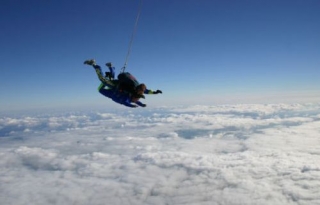  Free fall 